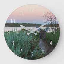 Colorful Sunset Kangaroo Wildlife Australien