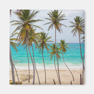 Colorful Tropical Beach Magnet