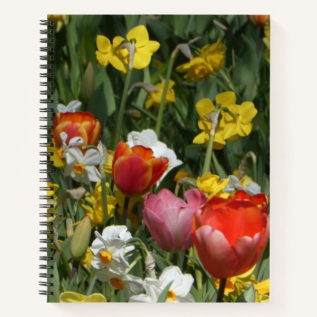 Colorful Tulips & Daffodils Notebook Notizbuch (Vorderseite)