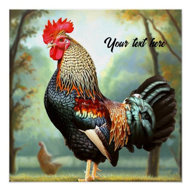Colorful Wyandotte Rooster Poster (Vorderseite)