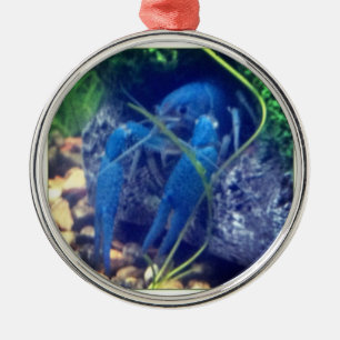 colorfull Blauhummer Silbernes Ornament