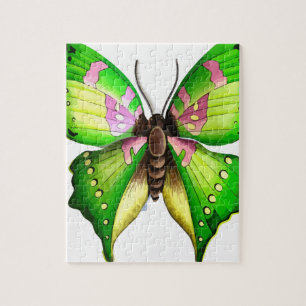 Colorfull Butterfly Puzzle