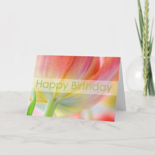 Colors of Spring Birthday Card Karte