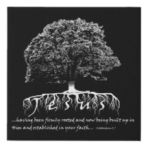 Colossians 2:7 gewurzelt in Jesus