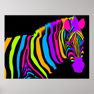 Colour Burst Zebra Poster