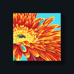 Colour Bursts I Leinwanddruck<br><div class="desc">floral</div>