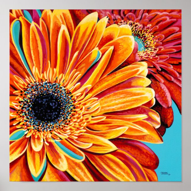 Colour Bursts II Poster (Vorne)