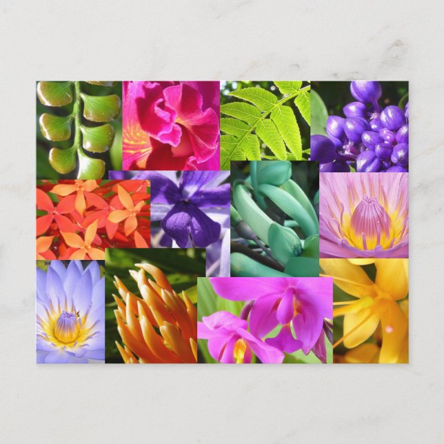 Colour Me Happy Postkarte (Vorderseite)