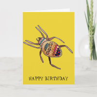 Colourful Spider birthday arachnid art