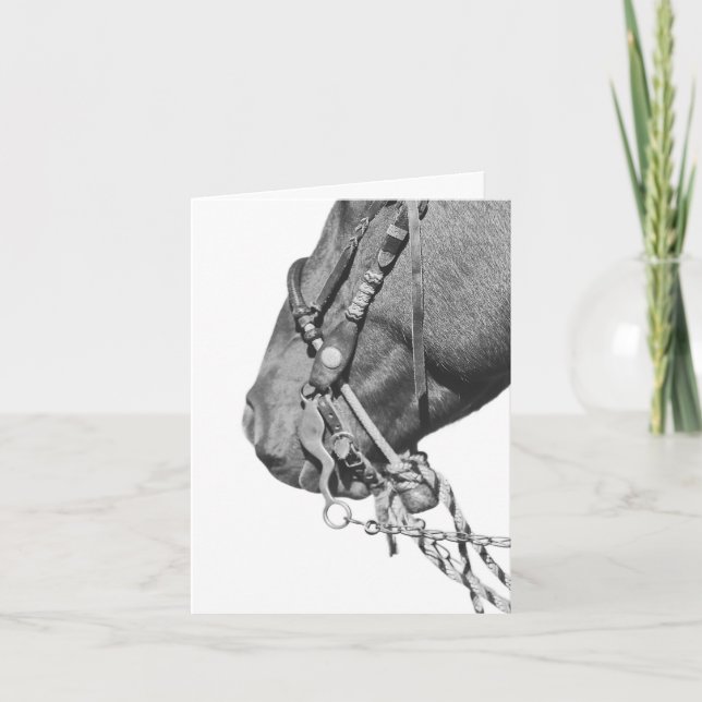 Colt in the Two Rein - 4" x 5.6" Notecard Karte (Vorderseite)