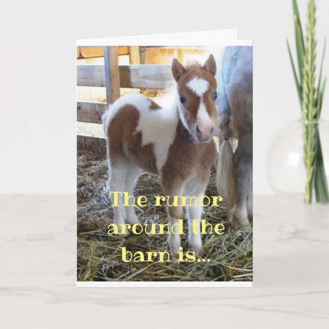 COLT KANN NICHT GLAUBEN, DASS SIE SO ALT SIND!!! 5 KARTE (Vorderseite)