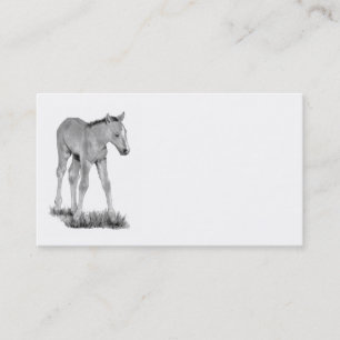 Colt, Pferd: Visitenkarte-Bleistift-Kunst: Visitenkarte