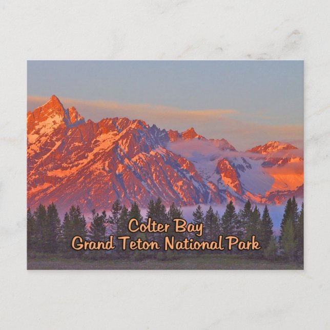 Colter Bay Grand Teton Nationalpark Postkarte (Vorderseite)