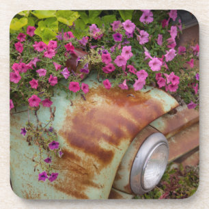 Columbia Getränkeuntersetzer