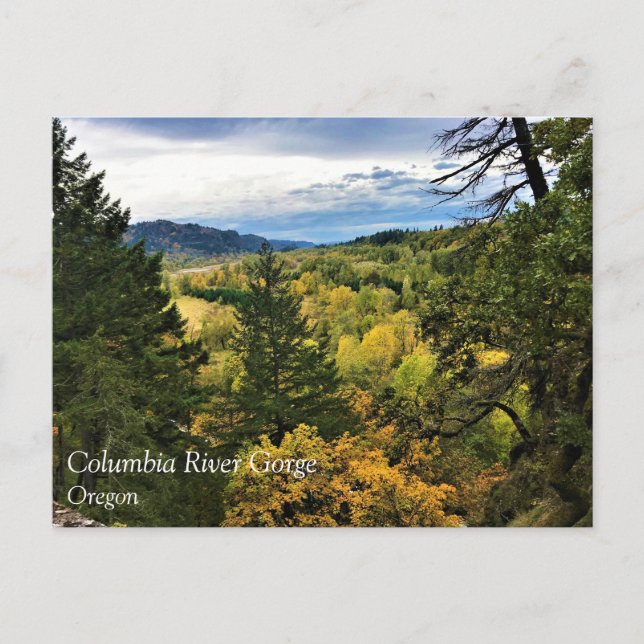 Columbia River Gorge, Oregon Postcard Postkarte (Vorderseite)
