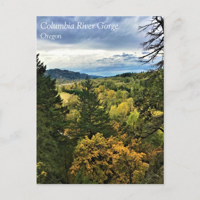Columbia River Gorge, Oregon Postcard Postkarte (Vorderseite)