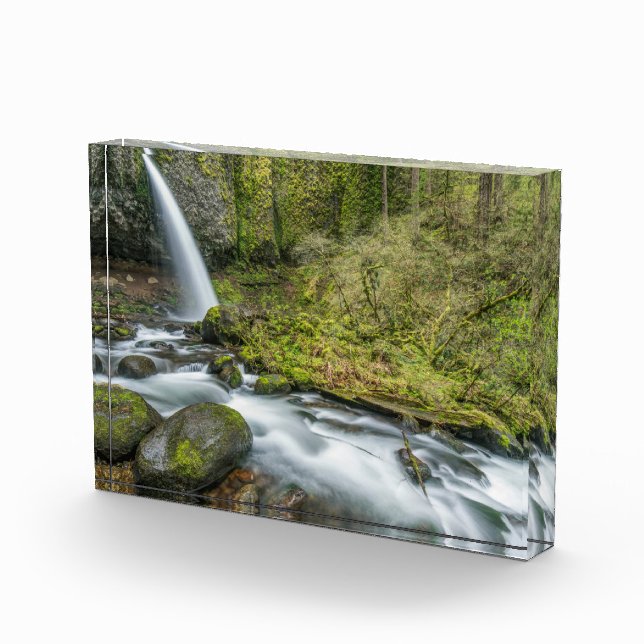 Columbia River Gorge, Ponytail Falls Fotoblock (Rechts)