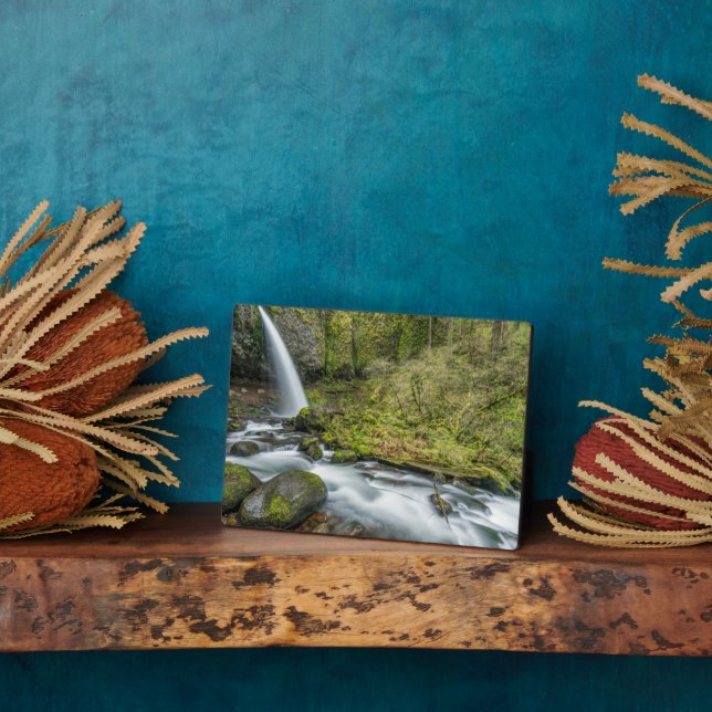 Columbia River Gorge, Ponytail Falls Fotoplatte (Seite)