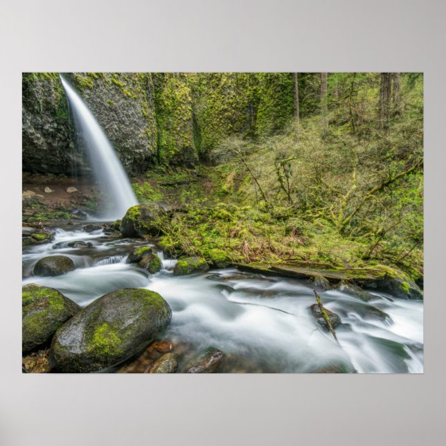 Columbia River Gorge, Ponytail Falls Poster (Vorne)