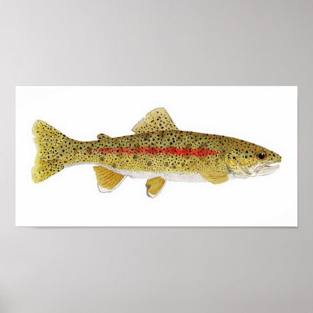 Columbia River Redband Trout Art Print Poster (Vorne)