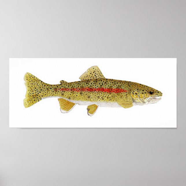 Columbia River Redband Trout Poster (Vorne)