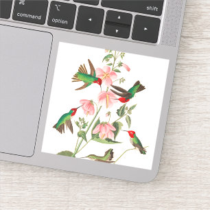 Columbian Humming von John James Audubon Aufkleber