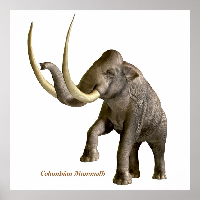 Columbian Mammoth Print Poster (Vorne)