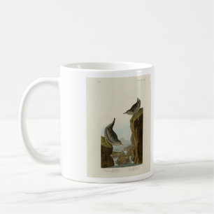 Columbian Water Ouzel, Audubons Vögel von Amerika Kaffeetasse