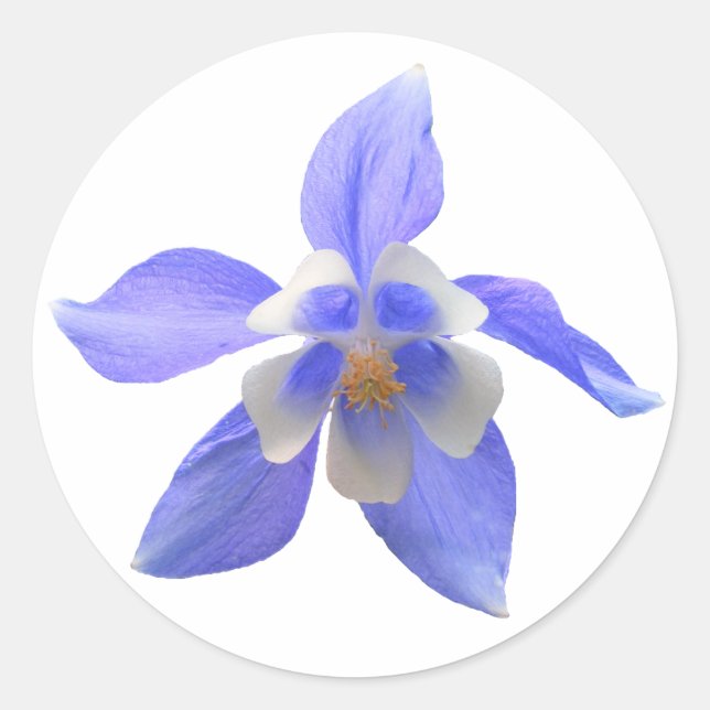 Columbine 158 ~ Aufkleber (Vorderseite)