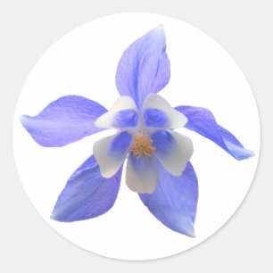 Columbine 158 ~ Aufkleber