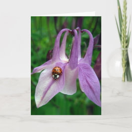 Columbine 2 Card Karte