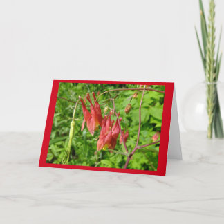Columbine-Blumen-Raum-Anmerkungs-Karte Karte