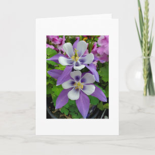 Columbine flower greeting card karte