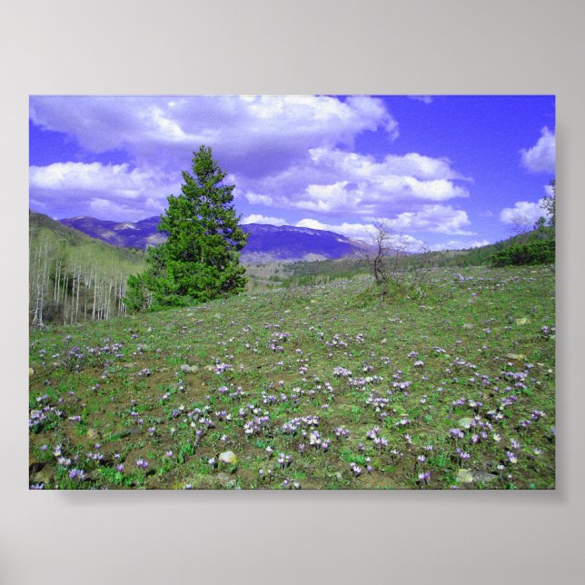 Columbine Hill Poster (Vorne)