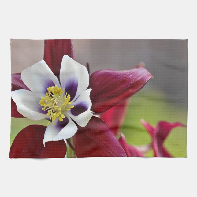 Columbine.JPG Küchentuch (Horizontal)