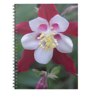 Columbine Notizblock