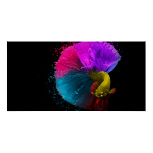 Combat Fish - Poster