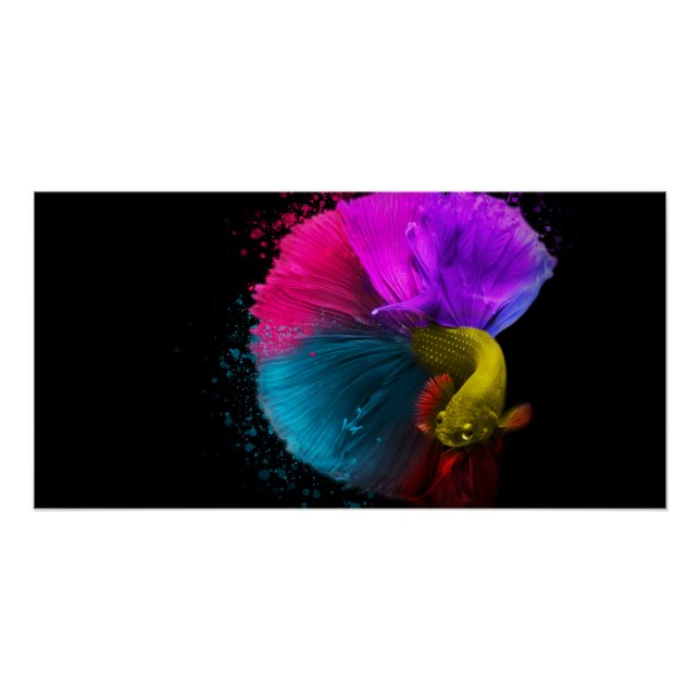 Combat Fish - Poster (Vorderseite)