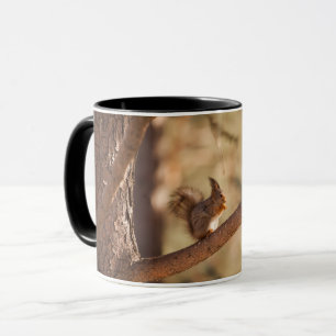 Combo-Tasse Tasse