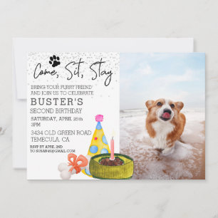 Come Sit Bleibe Hund Geburtstag Foto Party Einladung