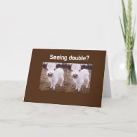 COMEDIC COWS SAGEN "GLÜCKLICH GEBURTSTAG"
