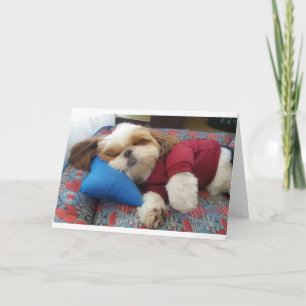 COMEDIC HUND SAGT DAS AM VATER TAG KARTE