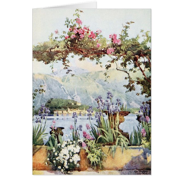 Comer See Blumen (Vorne)