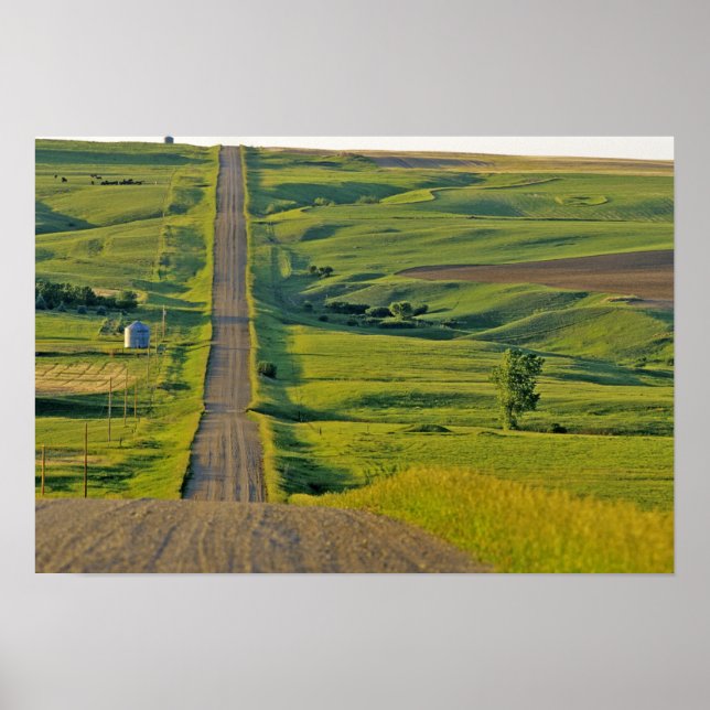 Comertown-Kies-Straße in abgelegener Richtung Nord Poster (Vorne)