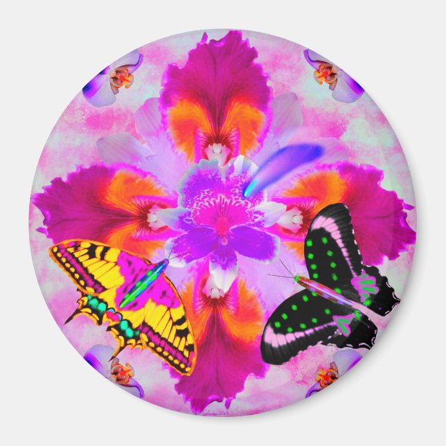 Comet Chasers von pwrflwr Magnet (Vorne)