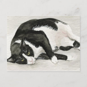 "Comfortable Tuxedo Cat" Art Postkarten