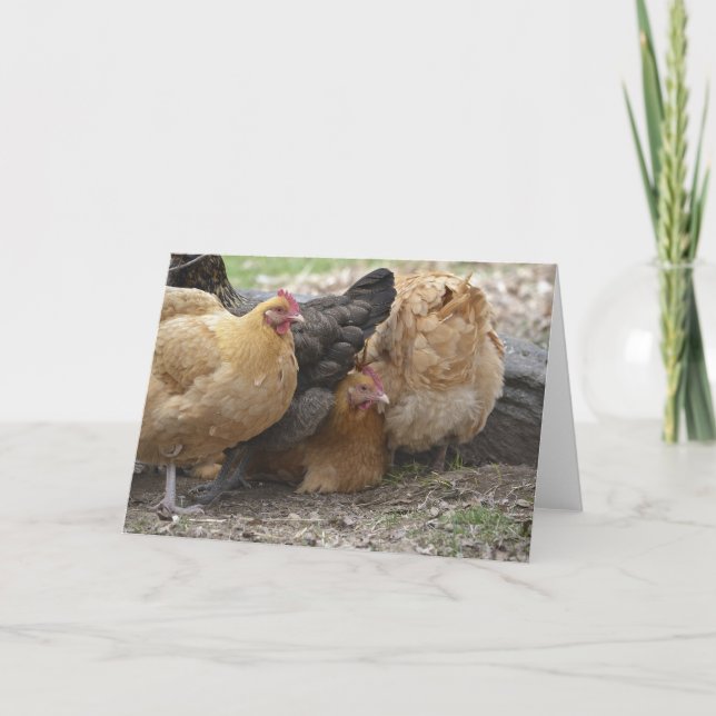 Comic Chicken Notecard Karte (Vorderseite)