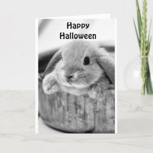 COMICAL BUNNY SAYS **HAPPY HALLOWEEN** FEIERTAGSKARTE