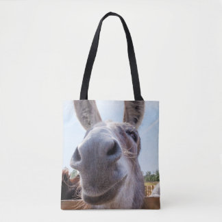 Comical Gray Smiling Donkey