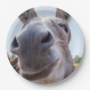 Comical Gray Smiling Donkey Pappteller